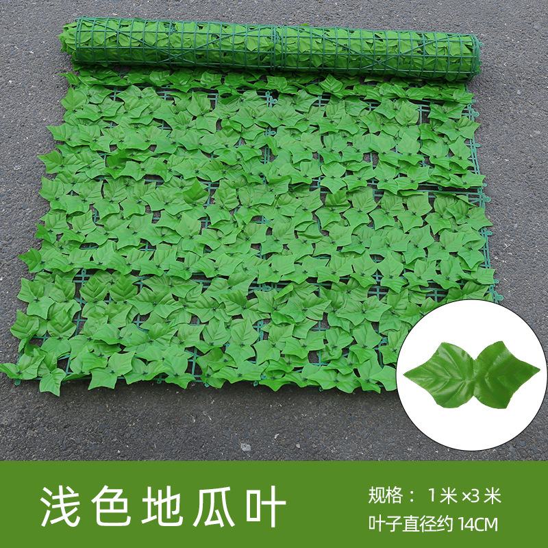 Hojas de patata dulce luz