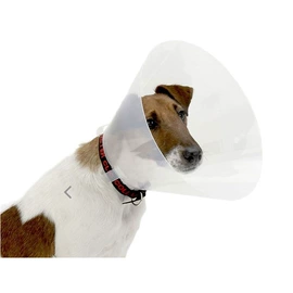 伊丽莎白圈;其他居家日用;包装制品配件