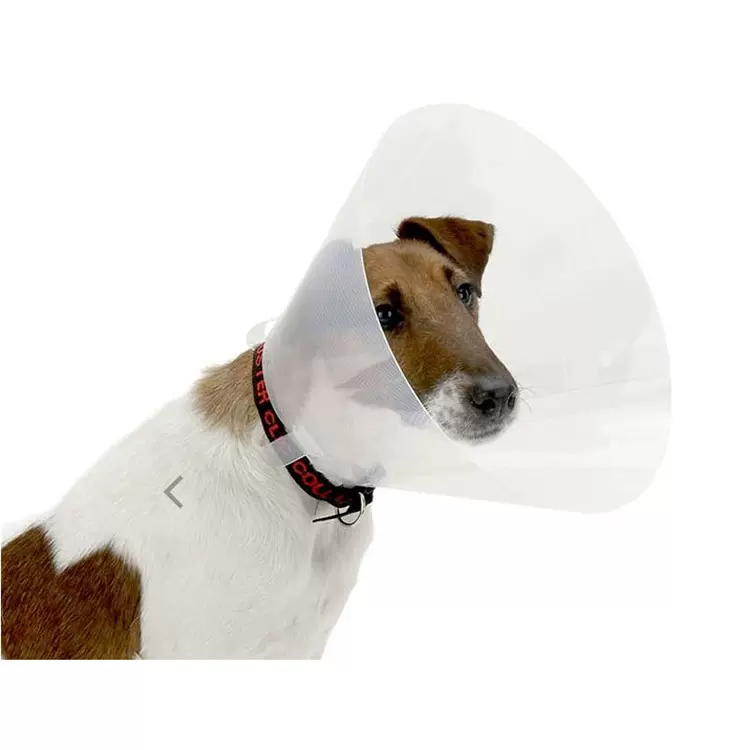 伊丽莎白圈宠物头套猫咪用品狗防舔咬狗狗猫绝育头罩软项圈大型犬