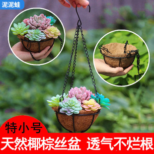 ��ȻҬ�ؽz����������С̖�h��Ҭ�Ӛ��w�S�F�Ƶ��@�����Ӷ��⌣��