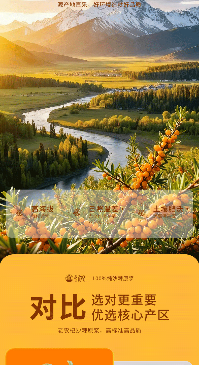 Sea Buckthorn Juice Pure Fresh Pressed Fruit Drink with Sea Buckthorn Oil 500ml quality and texture
