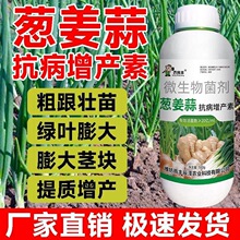 �r���S����󽪾²ˌ���ș�������rș�����S�~������������������