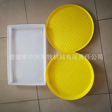 uZõĲʳP _ʳÈAP ruPҎ