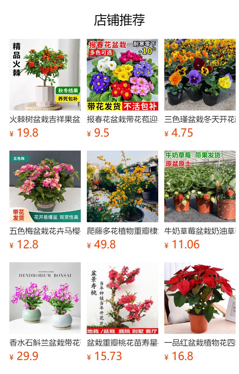 详情图