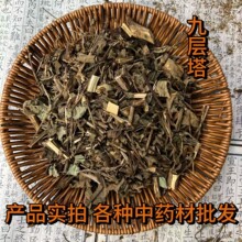 中药材九层塔 罗勒  零陵菜 柠檬香罗勒 新货 散装 中药材