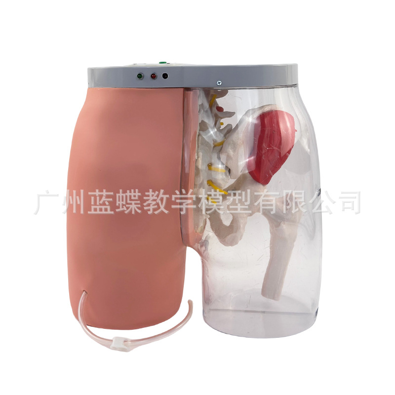 �β�����ע��͸���Ա�ģ��͸����Ѫ�����մ�����̵ƹⱨ��ϵͳ