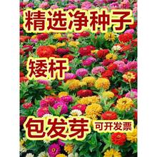 ·߅UղݻѷNذ߰ղݰԻݻNӻL׻