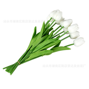 ӆ�Ƹ߷������QEVA���������� PU�����ָ��R��ɏ�ٻ���c�bzӰ