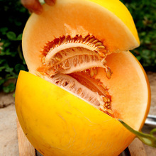 ����ӡ�2.11̖�؆κ����S���۹Ϯ������ܹ����r��Ϯ����ЋDˮ��