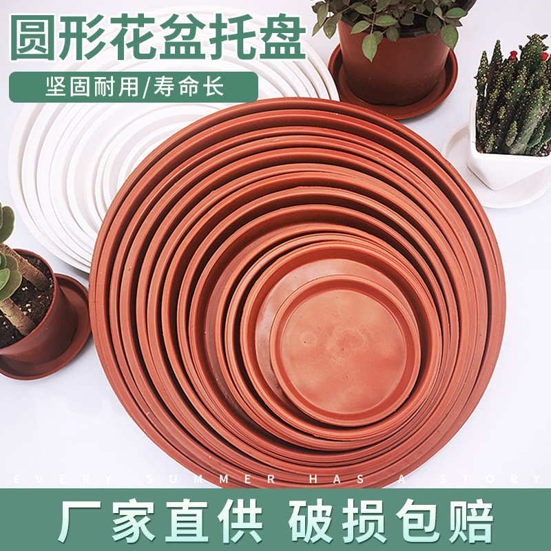 Plastic flowerpot tray thickened round potted base water tray fleshy green dill base tray draining tray large wholesale