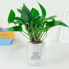 �d�ӻ��簲�������ԾGֲ�������򻨾G�}������lؔ����m�҃��ļ�