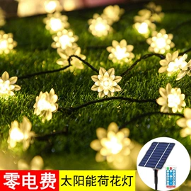 LED装饰灯;装饰台灯;室内LED