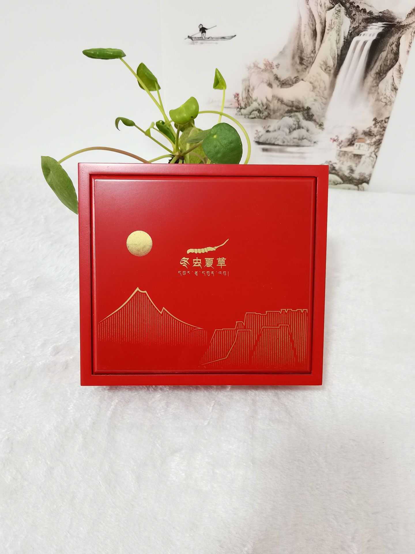 cbb4125d056c5c80522852769c1267