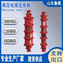 LBG1ϵ��10KV �V�ø߉���|�B���� LBG1-400/10 ����