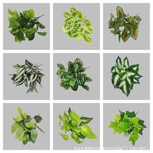 �ٻ��G�}�~7�^pvc����Gֲ�G�}���cĿ�٘��~�Y��鷿�����b[��