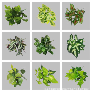 �ٻ��G�}�~7�^pvc����Gֲ�G�}���cĿ�٘��~�Y��鷿�����b[��