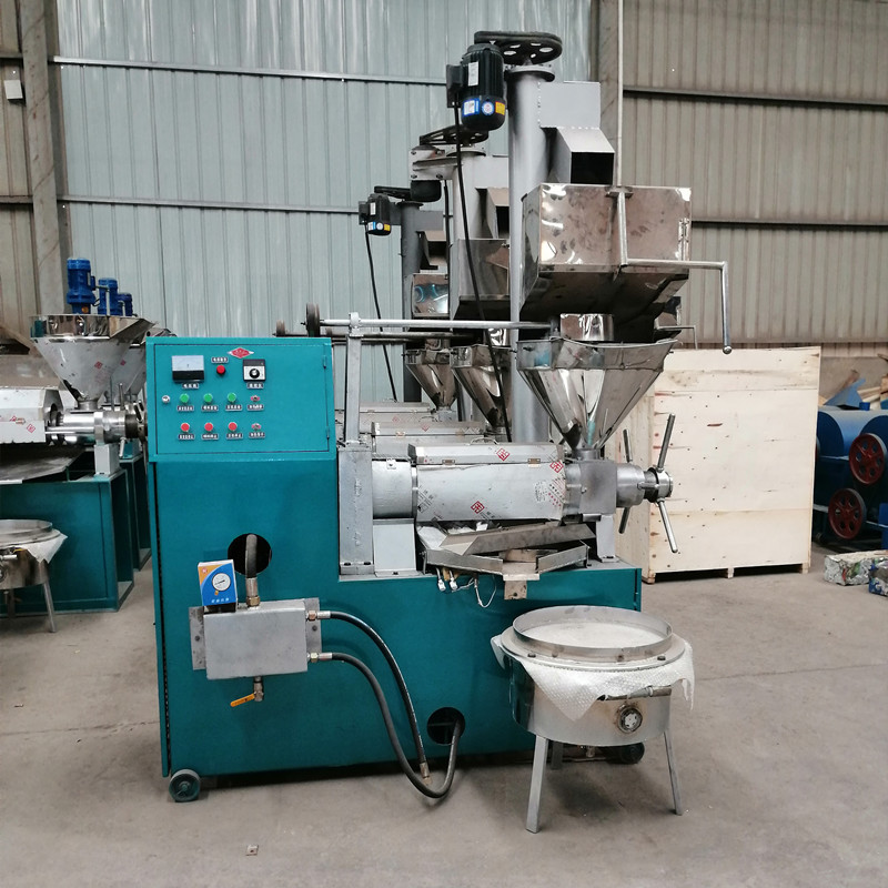 商用大型榨油机 菜籽大豆冷榨榨滤一体机 125型全自动螺旋榨油机