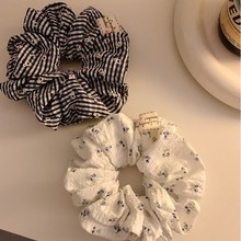 �nϵ������{ɫ�黨���c�lȦŮ���ļ��߼��К��|�ٴ�l�K�^�K�l�