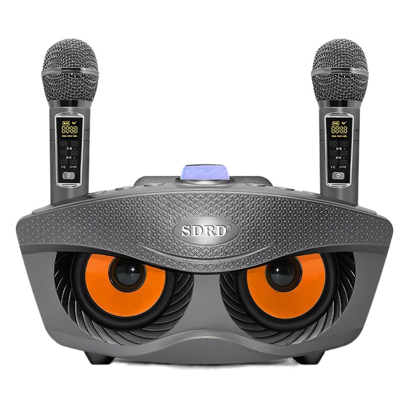 Altavoz Bluetooth SD306plus Owl con Micrófono Inalámbrico, Karaoke Todo en Uno, Máquina de Cantar KTV para el Hogar