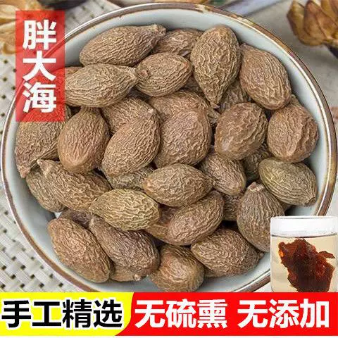 胖大海广西正宗胖大海无硫大果新货干果正品散装袋装无添加泡水茶