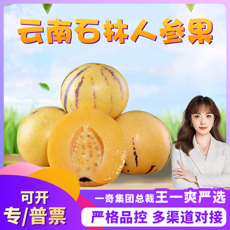 【严选+】云南石林人参果 代发3/5斤新鲜清甜多汁长寿果应季水果