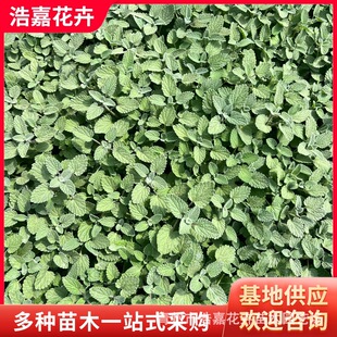 �G��������޸����� ���@���^�G�� ���컨�������G�������糣�G