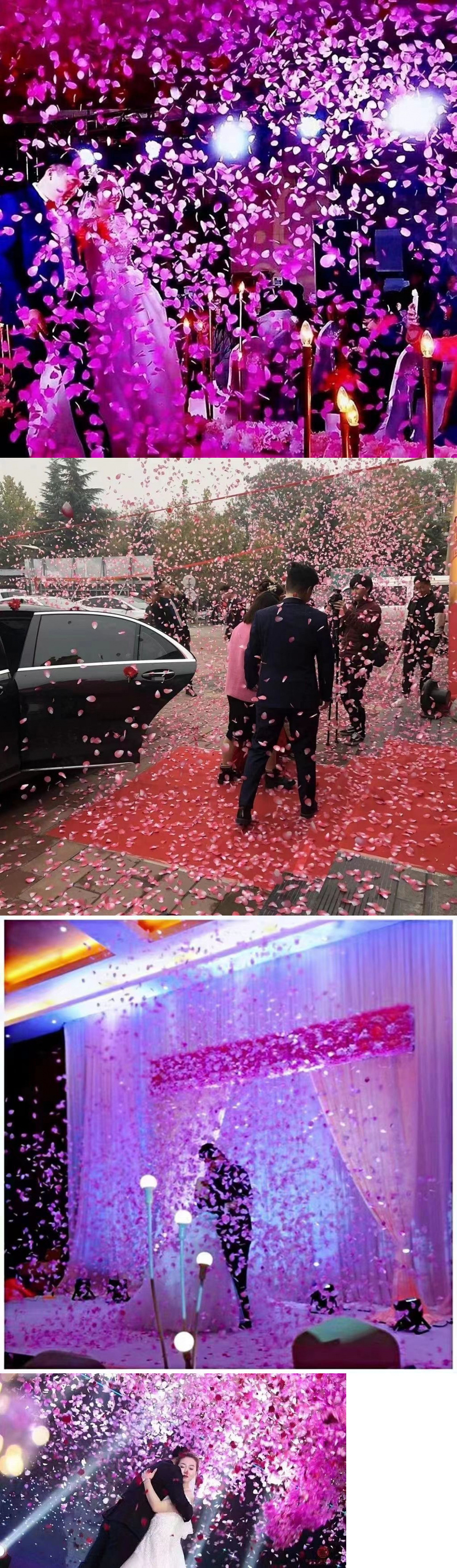 1db8acc8-3cc1-4626-a649-72b6f0af085c.jpe