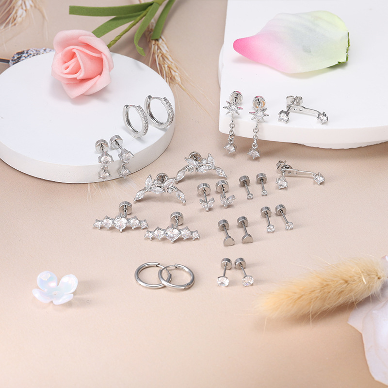 24-Piece Stainless Steel + Copper Zircon Stud Earrings Set, Trendy Ear Bone Studs for Women, Wholesale Earring Set detail image 7