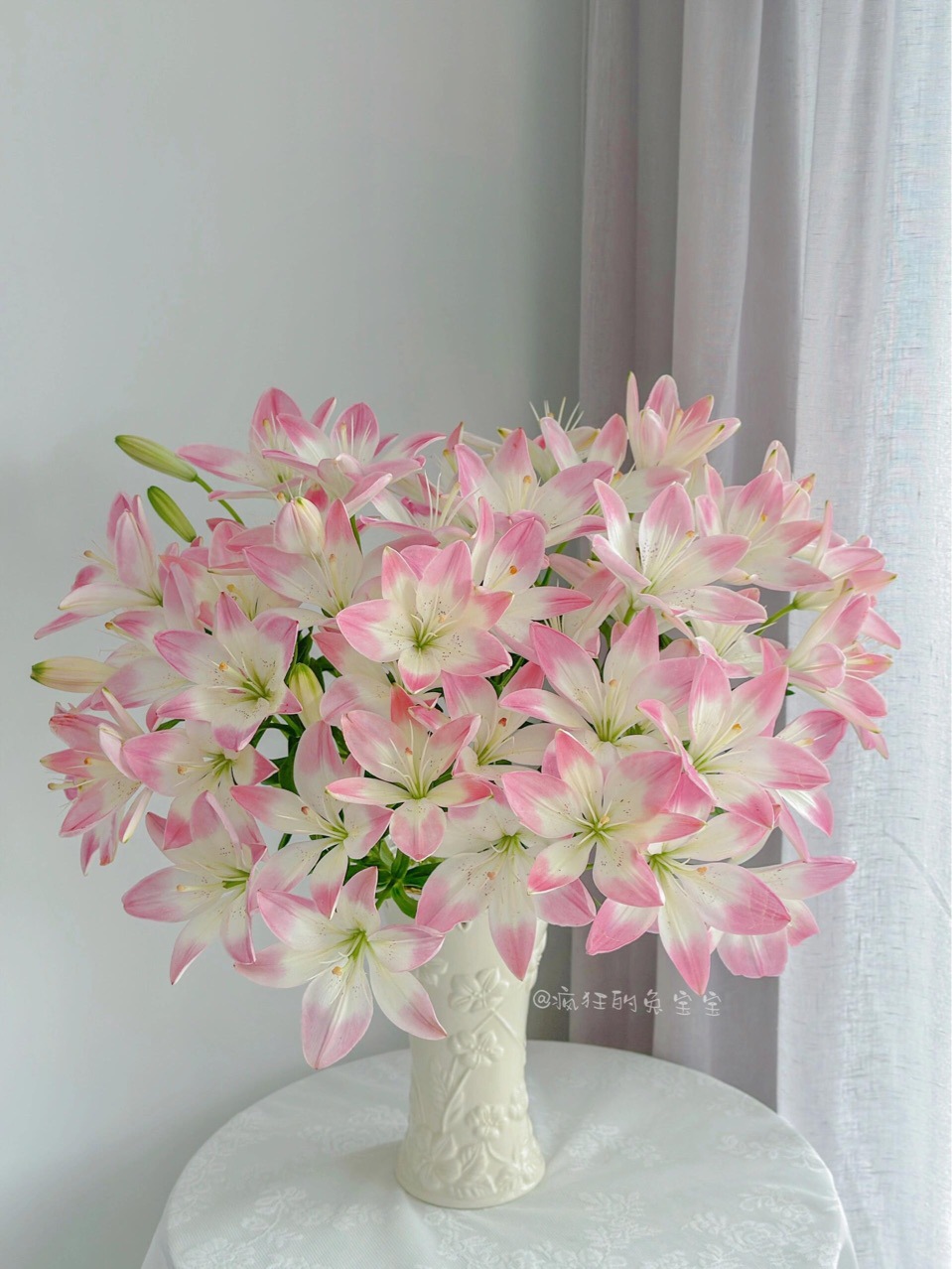 【顺丰冷链】精选小众小花形亚百合萌萌哒粉白百合花鲜花家用水培