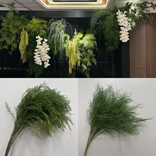 ���J������횲�ֲ���쾰�Gֲ��Yӆ����ɭϵ����������ꐲ廨