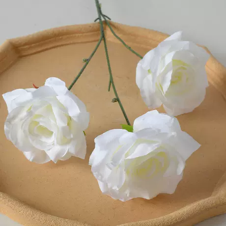 3 head diamond rose white