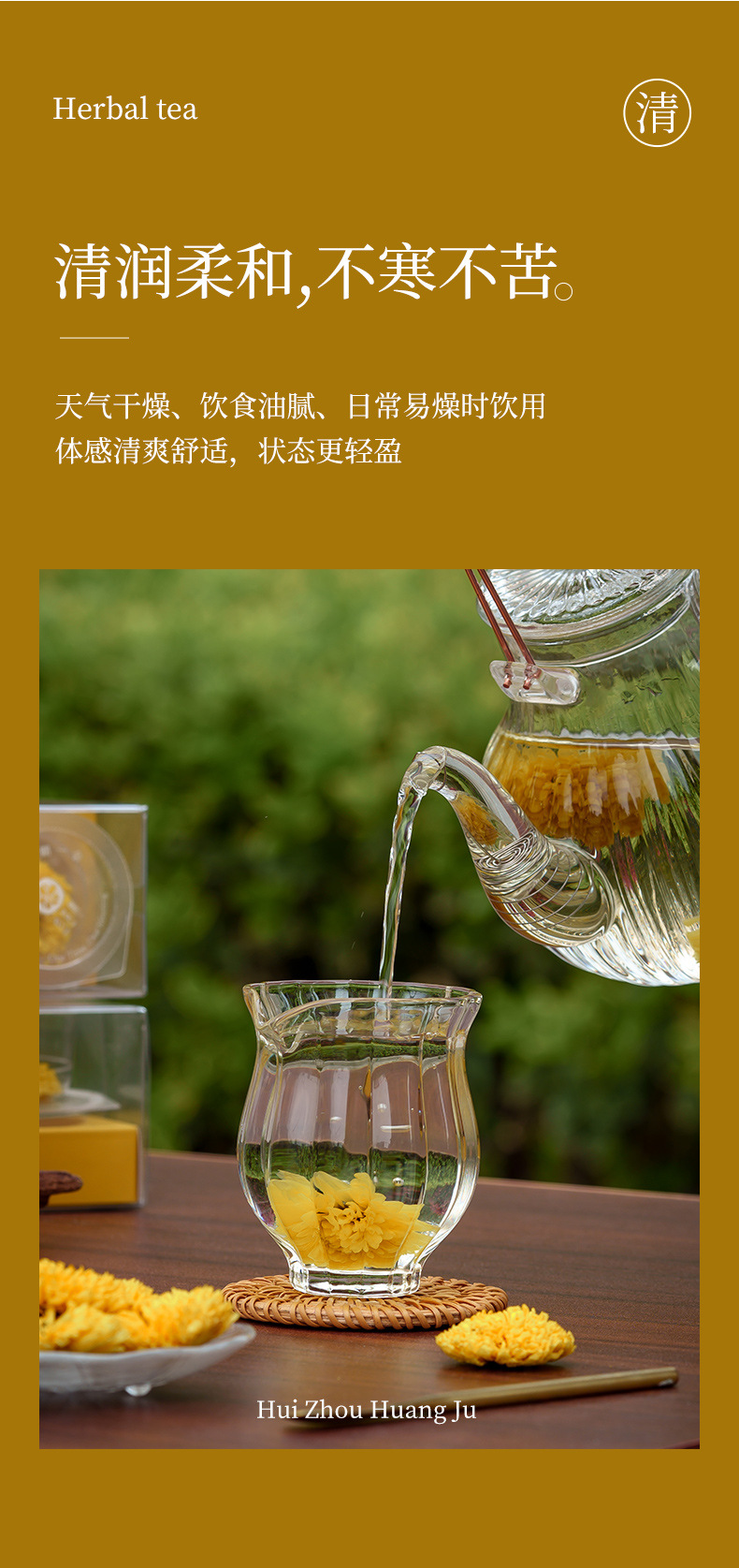 Huizhou Imperial Chrysanthemum Tea Large Whole Blooms Ju Hua 10g Mini Can Hot Brew Herbal Flower Tea quality and texture
