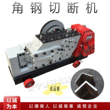 建筑工程角钢切断机 液压式钢板剪切设备 小型金属型材切割设备