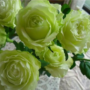 һ�����lŮʿ�r�b�Gɫ�л��¼���༾�_�������ļ��̨ͥԺ����