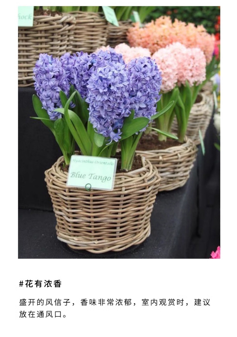 YJH_一键复制_20240722221433