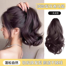 �Rβ�ٰlŮ����l�滨���pӯ��Ȼ����͸��̿���Rβ��ˮϴ�Rβ