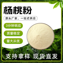 杨桃果粉 淡黄色 易溶于水 清甜杨桃香 干燥避光储存 现货批发
