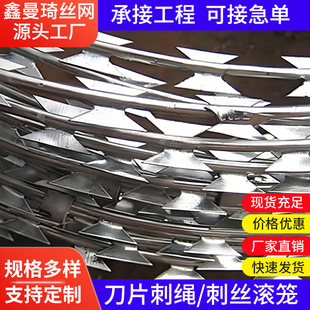 刀片刺绳防盗刀刺网镀锌刺丝滚笼围墙防爬刺铁丝网围栏刺绳-阿里巴巴