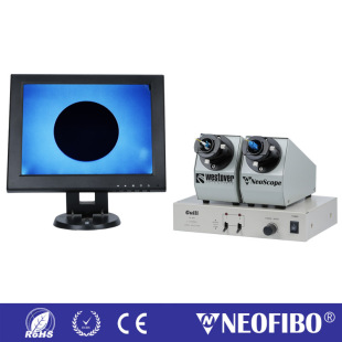 ���{���w�Ŵ��R 400��200������z�y�x���w�˙z�x�Ŵ��R �S�����l
