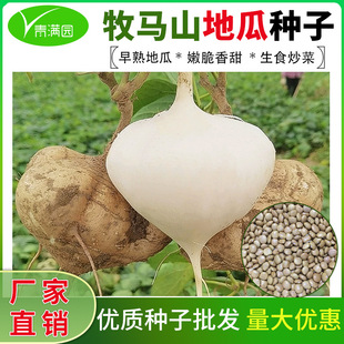 ���l���Rɽ�عϷN�ћ���ˮ���عϷN�Ӯa����N���̨�����߲���