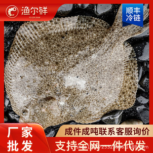 �r��r���l�r�����������~���r��̖�����Ŀ�~�l�~���ö����~