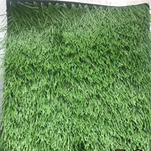 ����ľ�R�����Ƥ�����ƺ���̇����½����Ϸ��m�G����ƺ�F؛����