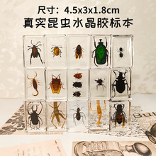 �挍���x�˱���֬͸��ˮ���z����ϐ��֩����x�羳���⹤ˇƷ�[��