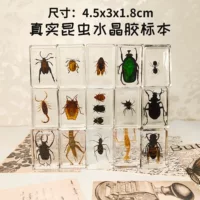 Настоящий образец насекомого в смоле, прозрачная кристальная клей Amber, скорпион, паук, трахинядий кроссовер декоративный