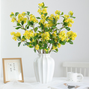 �·��涡�㻨�������� �Ҿӿ͏dܛ�b�b廨�zӰ�Gֲ�羳�ٻ�