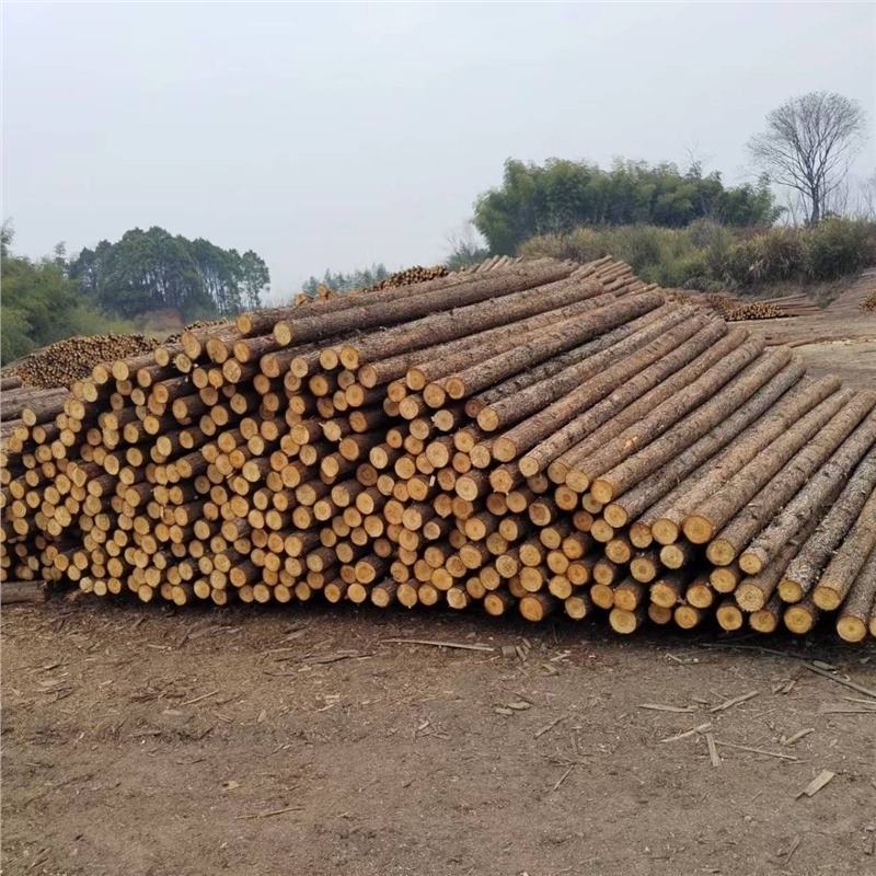 云南河道打桩木杉木桩原木绿化支撑杆户外景观园林护坡防汛圆