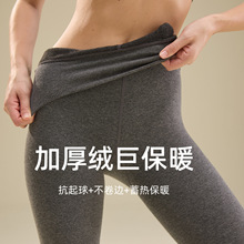 秋冬加绒加厚V腰棉平板打底袜保暖修身灰色不掉档连裤袜外穿2582