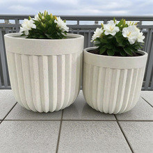 ͥԺb̨ʽV¹Ż GֲkNֲ