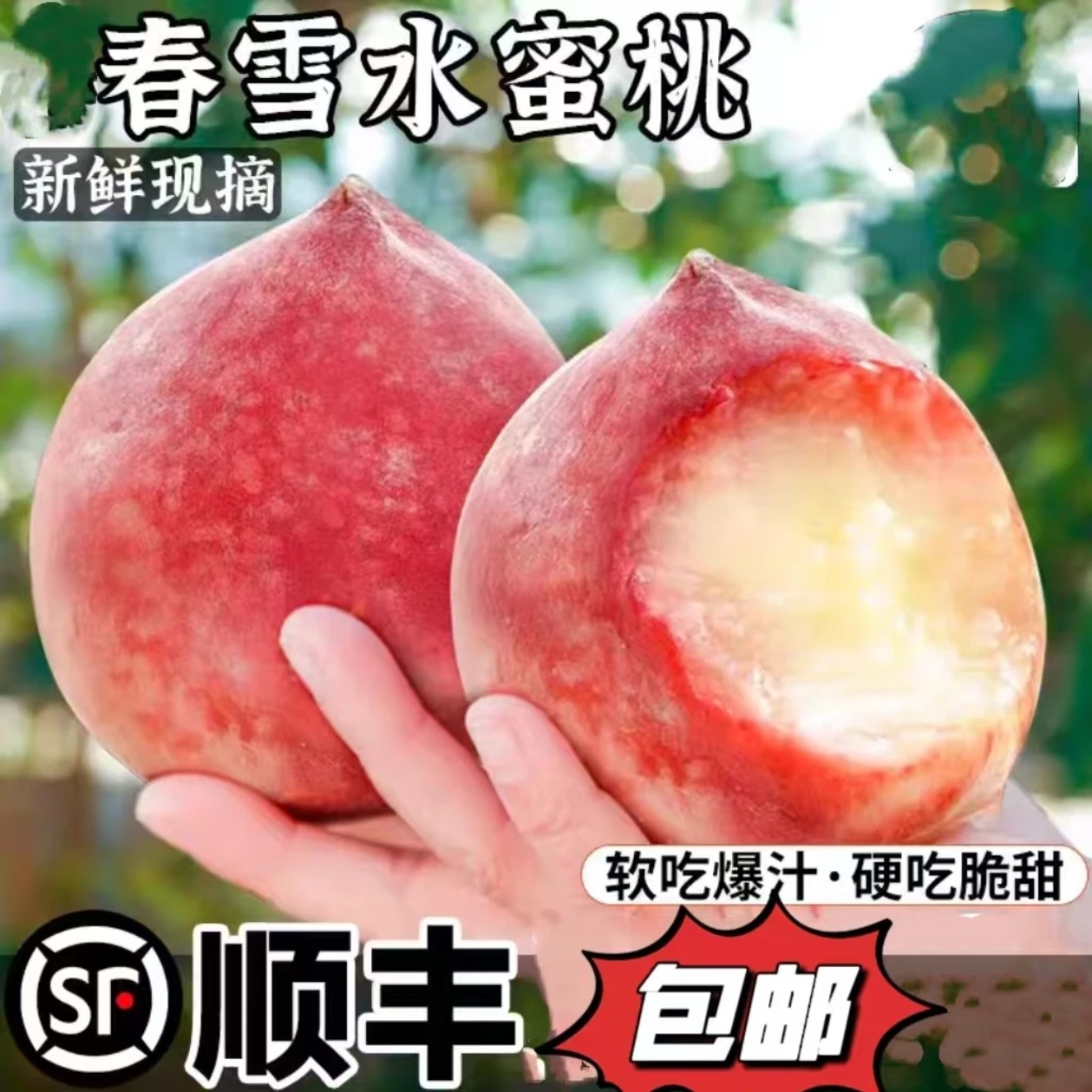 河北春雪水蜜桃脆桃毛桃当季时令孕妇桃子水果新鲜当季一件代发