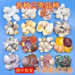 ؐ����Ȼ����ؐ����ˇƷ�Ĳİ������l��߅diy���μo��Ʒ�~���b�